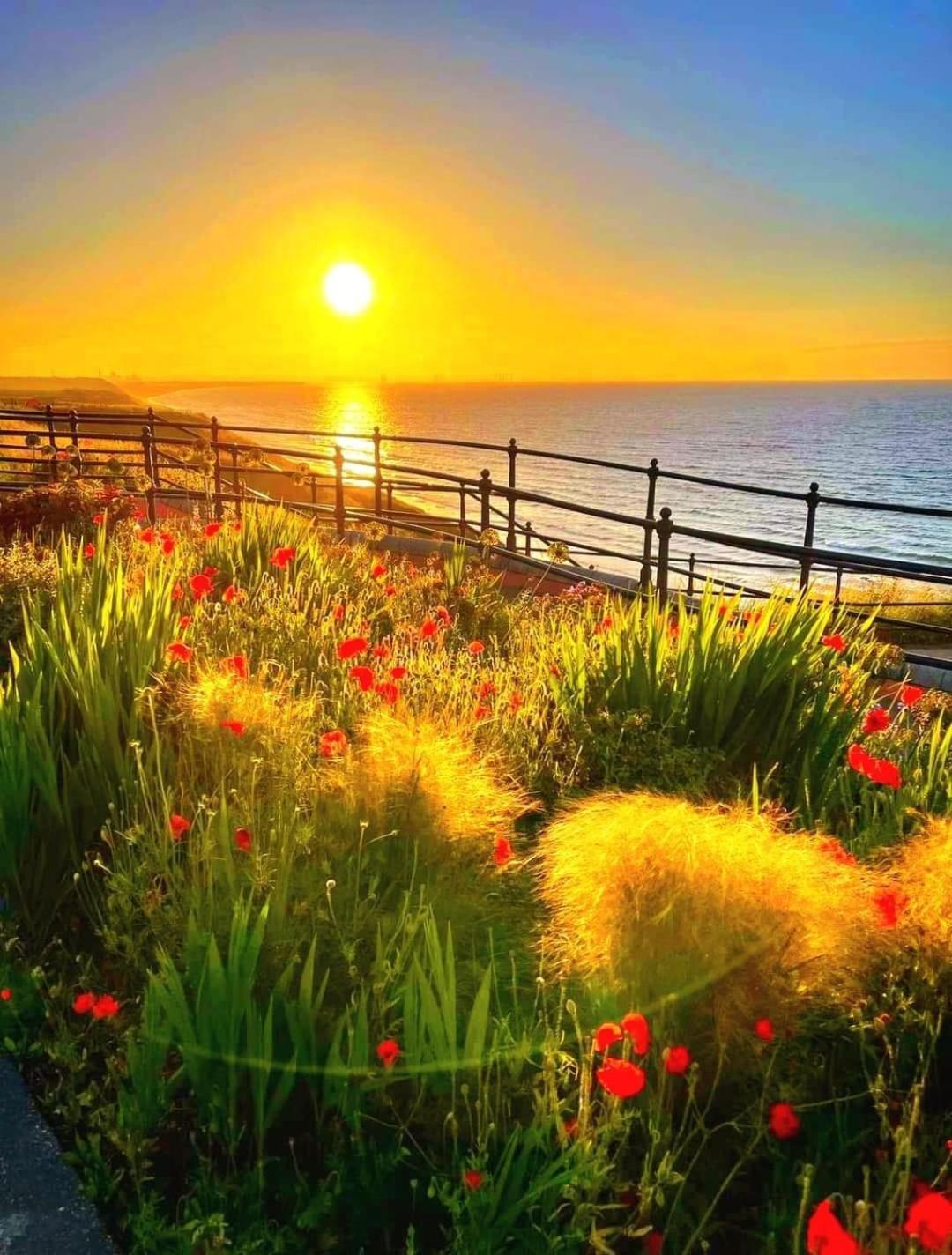 Sea Forever Oceanfront Home Perfectly Saltburn Esterno foto
