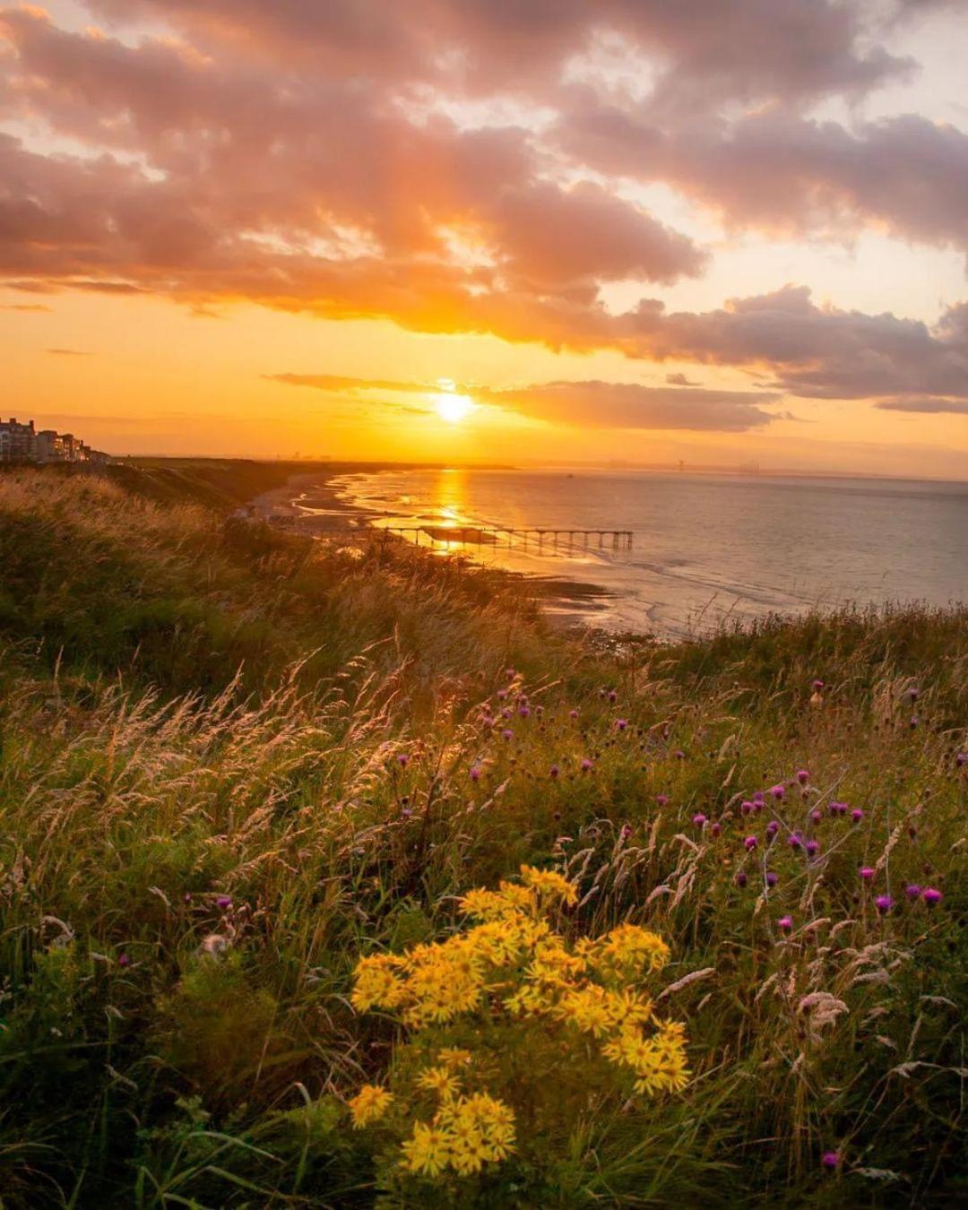 Sea Forever Oceanfront Home Perfectly Saltburn Esterno foto